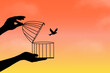 Dream Bird Flying Away, a bird flying out of the cage, the bird released from cage, freedom concept.