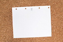 Blank Empty Note Paper On Cork Board