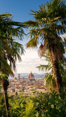 Wall Mural - view over the city of florence, italy