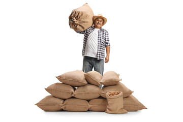 Wall Mural - Smiling mature farmer carrying a sack and posing behind burlap sacks with potatoes