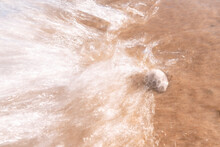 Wave Washing Over A Petoskey Stone On Lake Michigan Shoreline