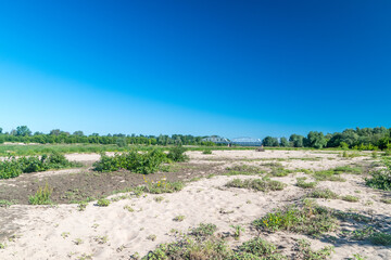 Poster - Sands near estuary Wieprz River to the Vistula River at sunny day.