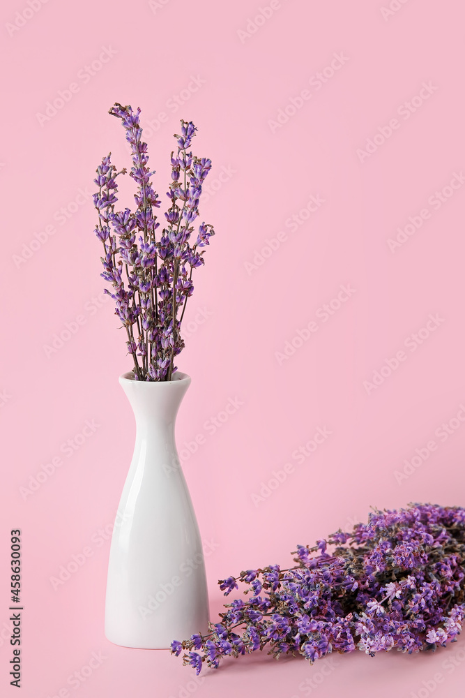 Beautiful lavender flowers on color background