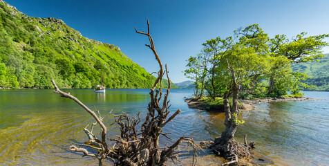 Wall Mural - Along the West highland Way in Scotland. A view of Loch Lomond showing some tree stumps and an old motor boat on a sunny day