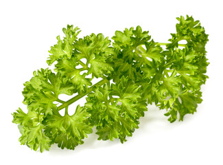 Sticker - fresh curly parsley isolated on the white background