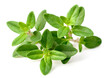 © Amy Lv - fresh thyme herb isolated on the white background
