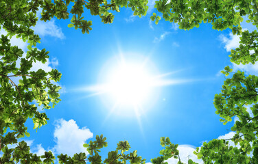 Wall Mural - green trees and a cloudy blue sky