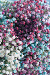 Sticker - Colorful gypsophila bouquet