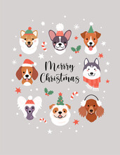 Merry Christmas Greeting Card. Vector Illustration With Cute Dogs Faces In Winter And Party Hats, Surrounded By Snow, Stars, Mistletoes, And Candy Canes. Isolated On Light Grey Background