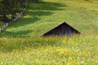 canvas print picture - Blühende Bergwiesen mit alten Holzhütten in den Alpen, Pustertal, Südtirol, Italien 