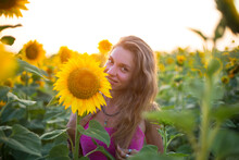 Thin Girl In Magenta Dress Is In The Sunflowers In Soft Sunlight