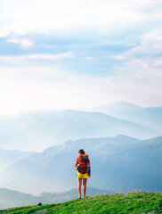 traveler