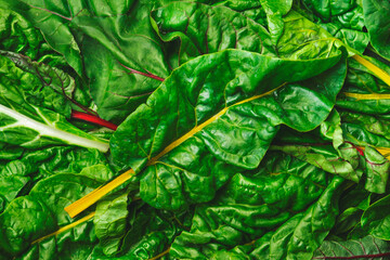 Wall Mural - Rainbow swiss chard leaves on rusty background, raw green leaf vegetables, top view, copy space