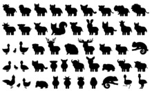 Big Bundle Of Silhouette Domestic, Farm Forest Wild Animals, Birds. Black White Vector Illustration Of Collection Of Cartoon Characters Isolated On White Background