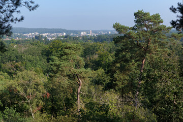 Sticker - Point of View of the Fontainebleau city and his Forest  from the Avon rock 