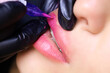 master s, squeezing the upper lip of the model with his fingers and - and performs permanent makeup on it.