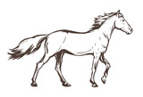 Fototapeta Konie - Race horse hand drawn sketch vector illustration