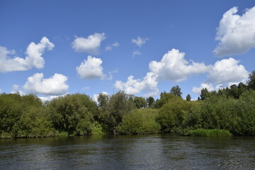 green trees and blue sky with clouds