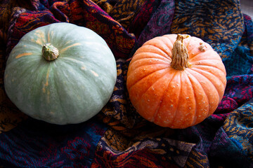 Bright fresh round-shaped pumpkins