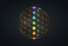 Flower Of Life And The Seven Chakras. Gold Sacred Geometry, Set Chakra Points Meditation. Colored Chakra Lights. Yoga, Zen, Buddhism, Recovery, Wellbeing Concept. Vector Isolated On Black Background
