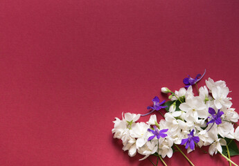 Wall Mural - bouquet of flowers on a red background