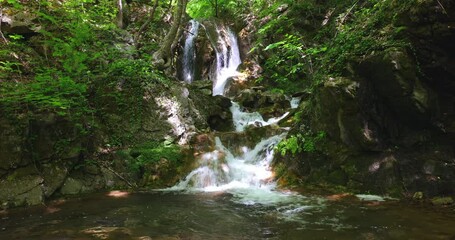 Wall Mural - Green forest and waterfall stream water flowing between old rock stones.