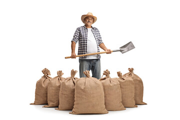 Wall Mural - Mature farmer with a straw hat holding a shovel and posing behind a pile of sacks