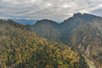 Wall Mural - fog in the mountain forest with yellow and red leaves, top view