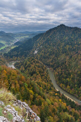 Wall Mural - fog in the mountain forest with yellow and red leaves, top view