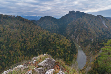 Wall Mural - fog in the mountain forest with yellow and red leaves, top view