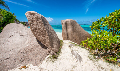 Sticker - Amazing picturesque paradise beach with granite rocks and white sand, palm trees, turquoise water on a tropical landscape, Seychelles