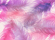 Pióra, tekstura w kolorze różu i fioletu. Grafika cyfrowa do druku na tkaninę, ozdobny papier, tło.
