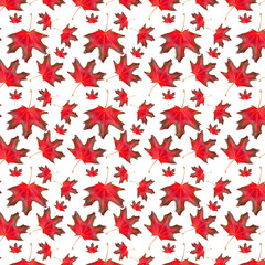 Wall Mural - pattern red maple leaf in autumn on a white background. beautiful autumn background for your design.
