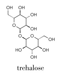 Sticker - Trehalose (mycose, tremalose) sugar molecule. Skeletal formula.