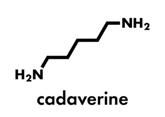 Canvas Print - Cadaverine foul smelling molecule. Skeletal formula.