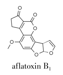 Wall Mural - Aflatoxin B1 mold carcinogenic molecule. Skeletal formula.