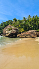 Sticker - Praia com água cristalina no litoral paulista