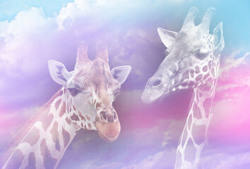 Sticker - portrait of giraffes in pastel art colors