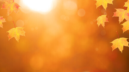 Red-orange maple leaves frame of autumn nature background with bokeh in the forest