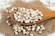 ハトムギ（鳩麦、学名: Coix lacryma-jobi var. ma-yuen）、穀物の一種、食用、漢方や化粧品にも使用される。
