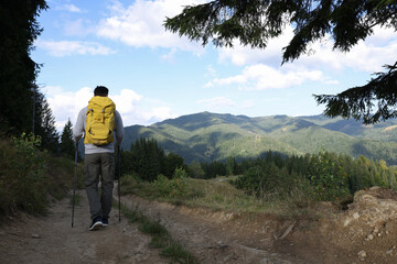 Wall Mural - Tourist with backpack and trekking poles hiking through mountains, back view. Space for text