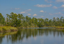 The Blackwater River At Russell Harber Landing In Milton, Santa Rosa County, Florida