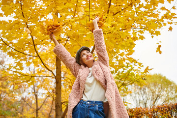 Wall Mural - beautiful autumn time