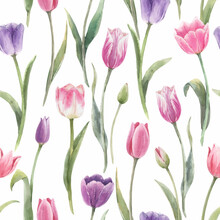 Beautiful Vector Floral Seamless Pattern With Hand Drawn Watercolor Tulip Flowers. Stock Illustration.