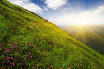 Poster - Mountain landscape on sun