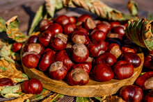 Chestnuts In A Plate With Dry Leaves On A Brown Wooden Table. Autumn Still Life With Bright Horse Chestnuts On Wooden Background. High Quality Photo