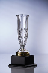 Poster - crystal trophy on gray  background