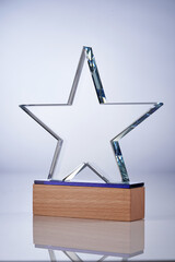 Canvas Print - crystal trophy star shape on gray  background