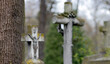Old crosses in a Catholic cemetery. Stone crosses covered with moss. Jesus on the cross. Blurry background with trees.