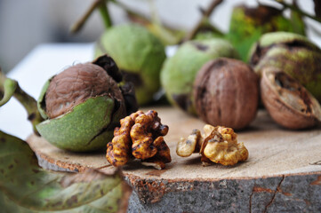 Wall Mural - Walnut kernels and whole.
Green unripe walnuts. Green leaves and unripe walnut. Walnut fruits. Raw walnuts in a green shell. Ripe walnut tree nuts.